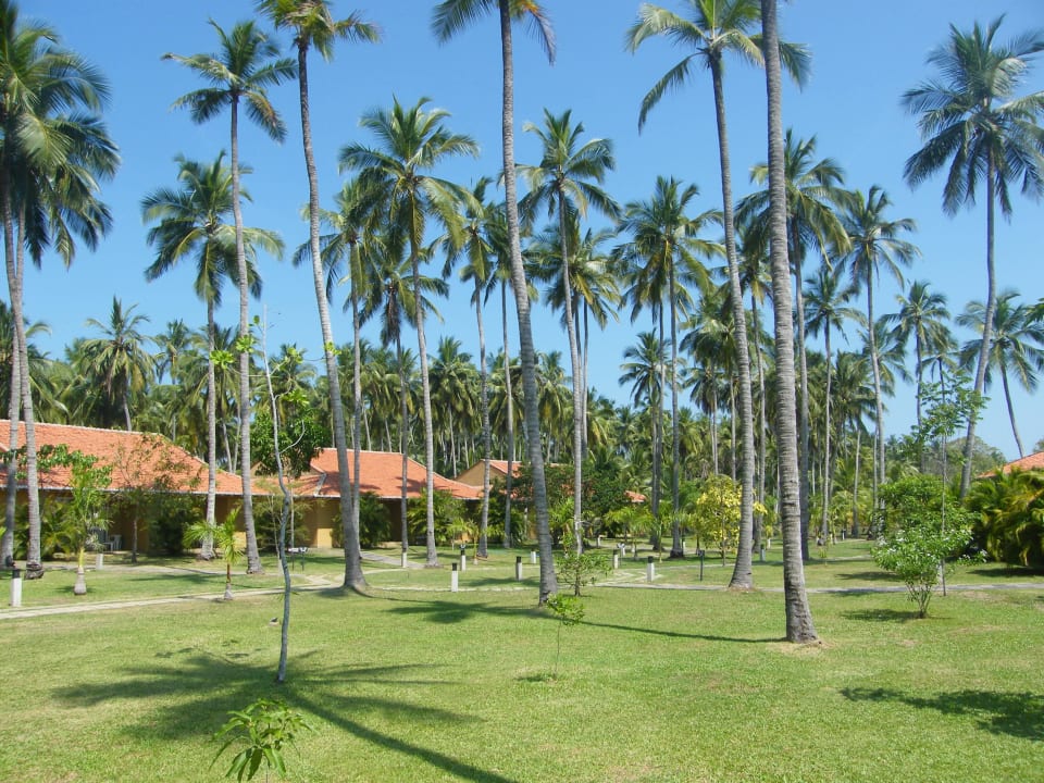 Bungalovy Club Palm Bay