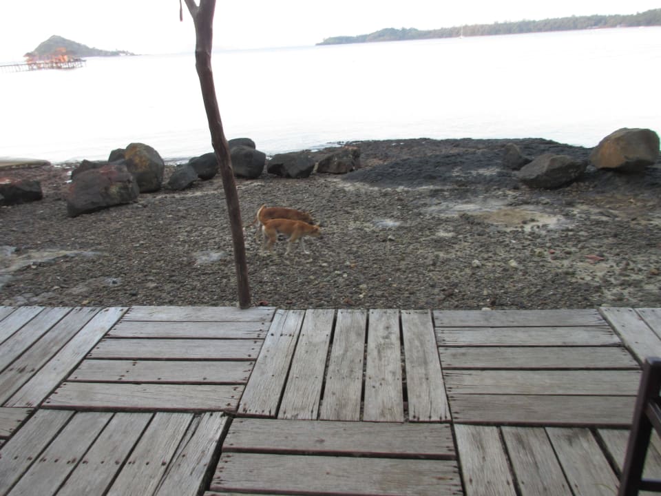 Aussicht Restaurant zum Meer Hotel Cococape Resort