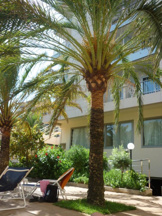 Pool Hotel Cosmopolitan