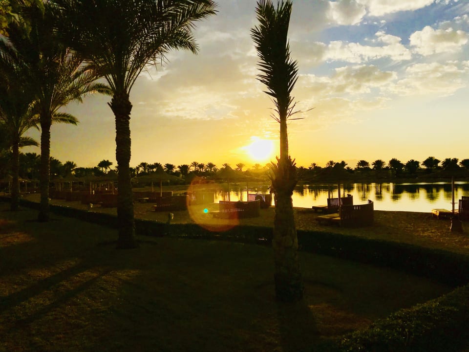 Ausblick Desert Rose