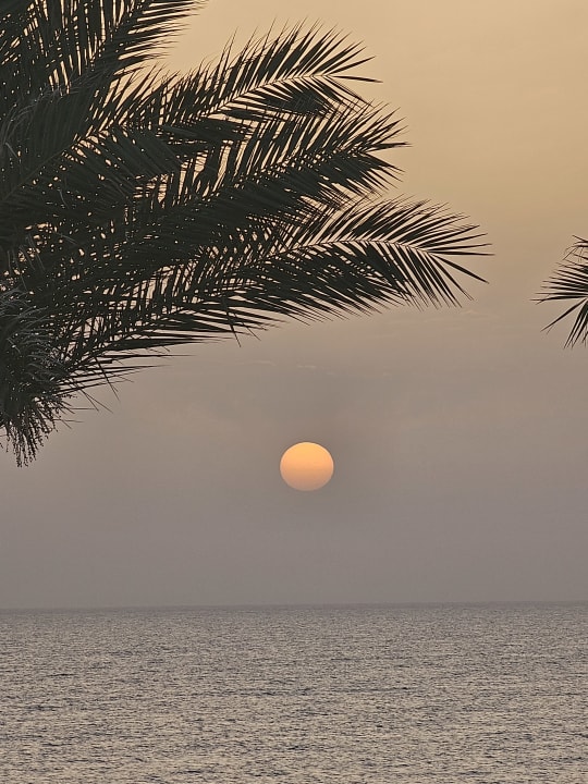 Ausblick Steigenberger Coraya Beach - Adults only