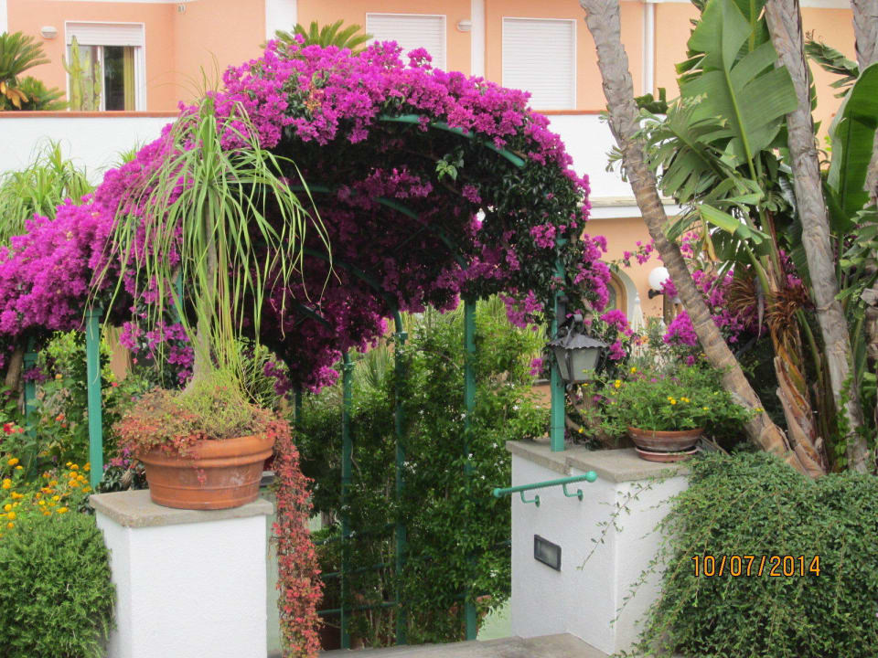 Eingang Hotel La Pergola & Villa Flavio Ischia