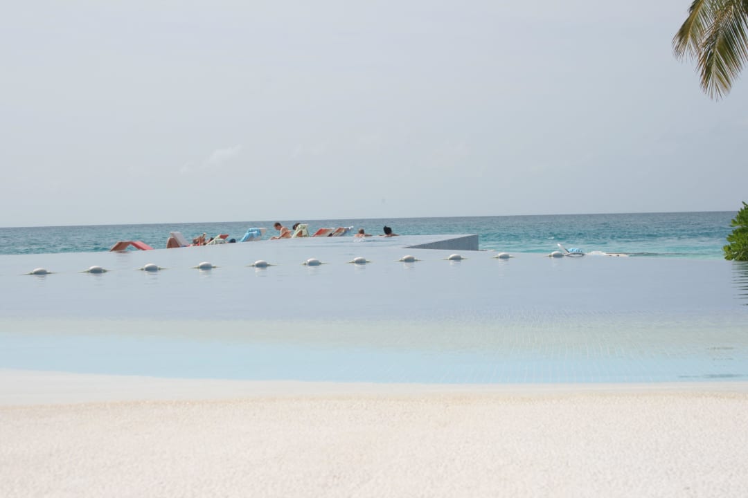 Infinity Pool Kuramathi Maldives