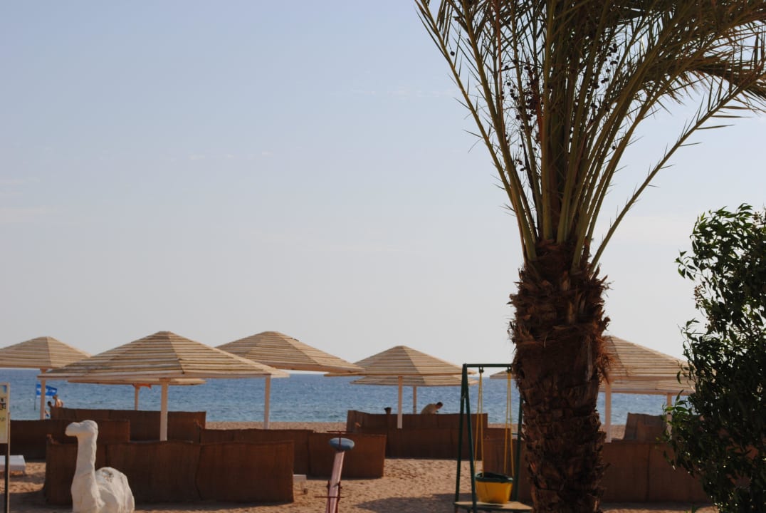 Strand mit kleinem Spielplatz Menaville Safaga