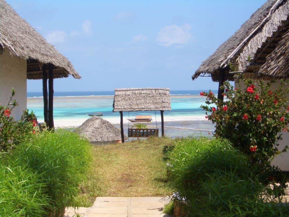 Schaukel mit phantastischem Ausblick Karafuu Beach Resort & Spa