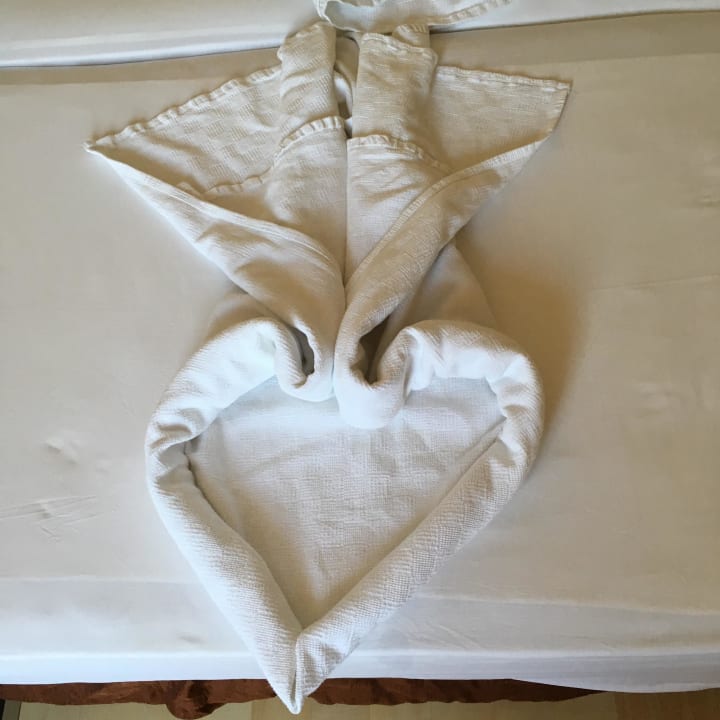 Jeden Tag neu Hotel Orfeus Park