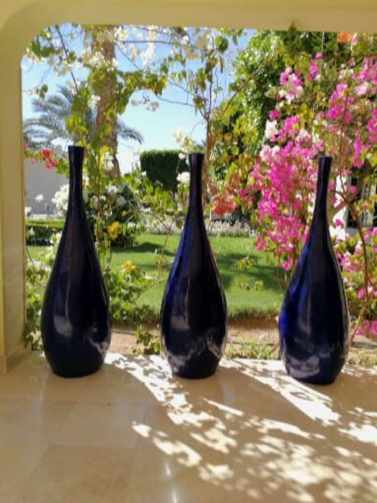 Gartenanlage Desert Rose