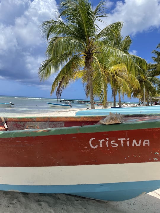 Strand Hotel Viva Dominicus Beach by Wyndham - All Inclusive Resort