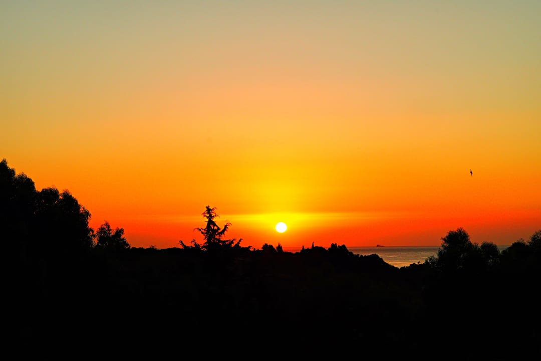 Ausblick Ekaterini Hotel