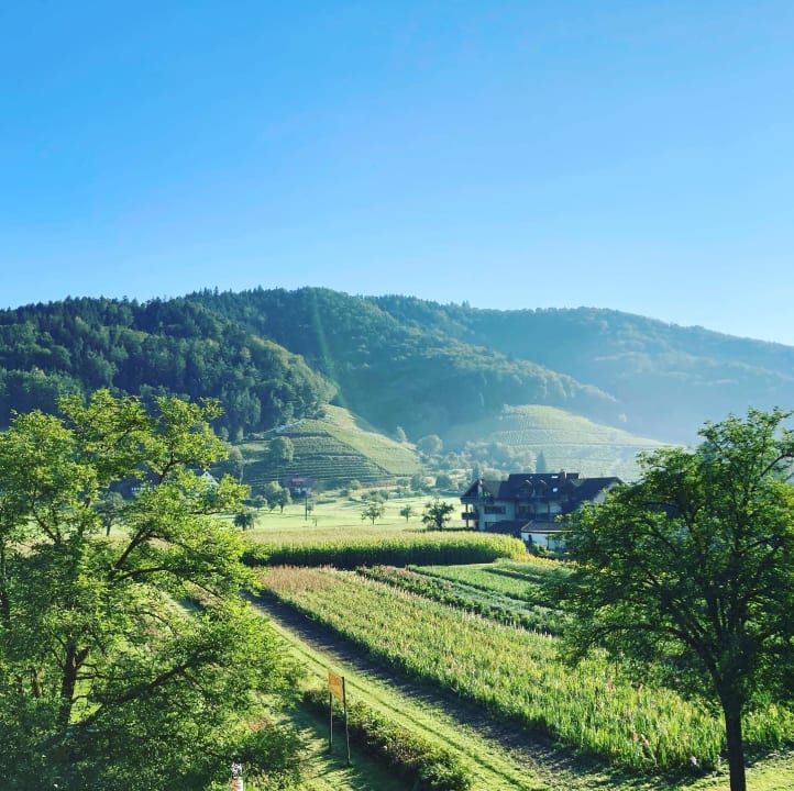 Ausblick Hotel Schwarzenberg