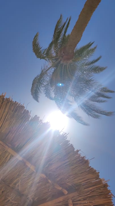 Strand Mövenpick Resort El Quseir