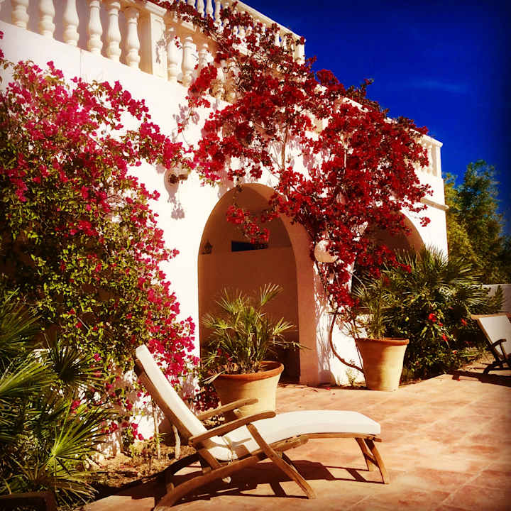 Gartenanlage Maison dˋHôte Domaine El-Manar