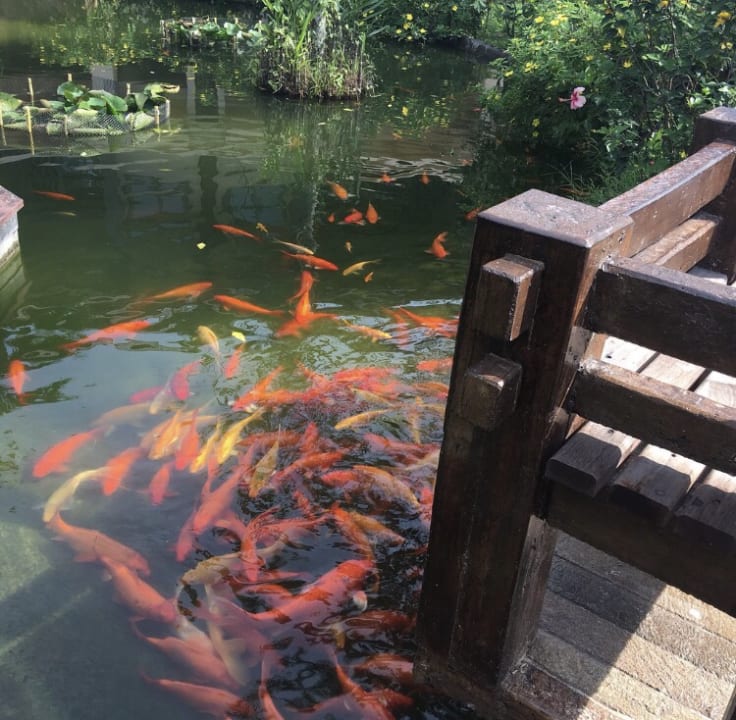 Gartenanlage The Andamania Beach Resort & Spa