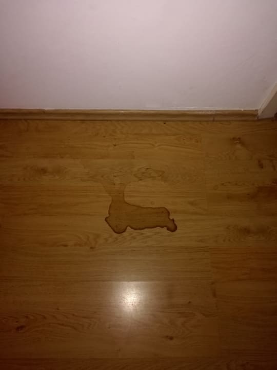 Zimmer Hotel Goldener Hirsch