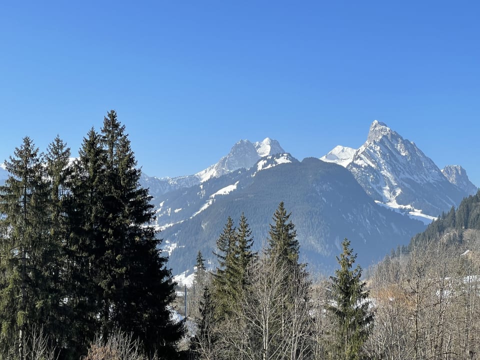 Ausblick Ermitage Wellness- & Spa-Hotel