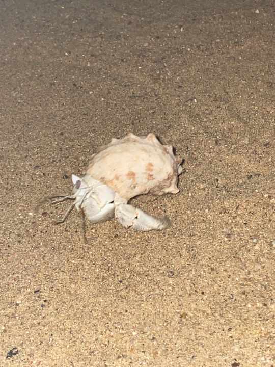 Strand Casa Mare Resort