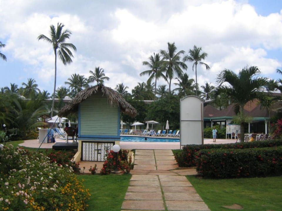Pool Viva V Samana by Wyndham – Adults Only