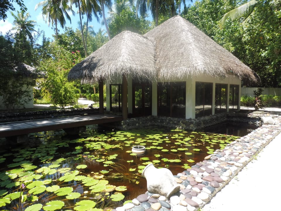 Bibliothek und Computerraum Filitheyo Island Resort
