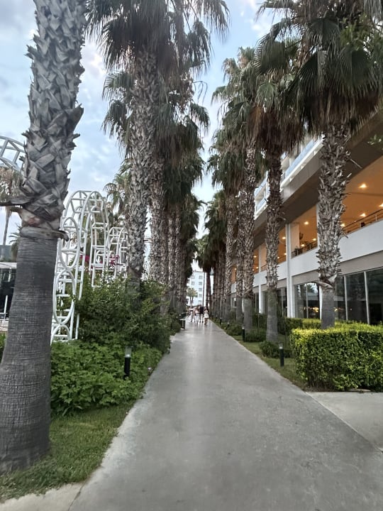 Gartenanlage Hotel Royal Garden Beach