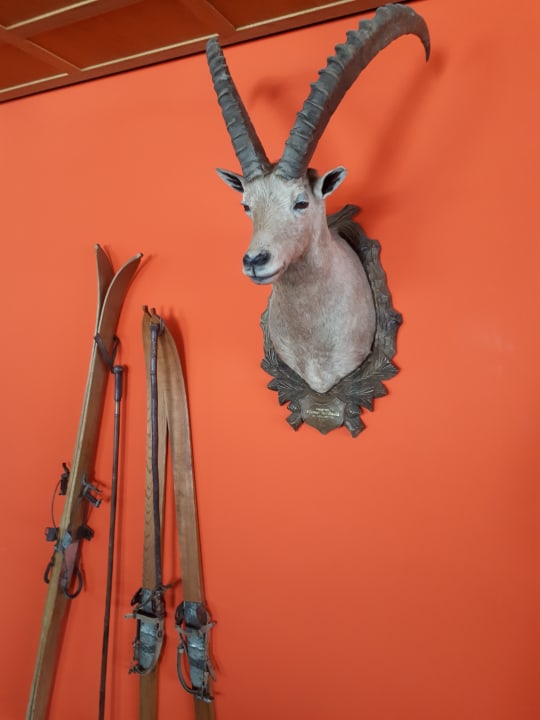 Lobby Hotel Steffisalp