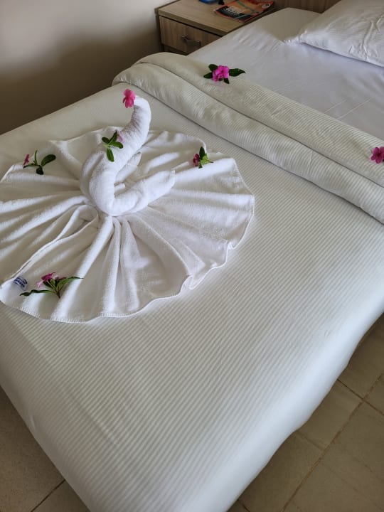 Zimmer Amarina Abu Soma Resort & Aquapark
