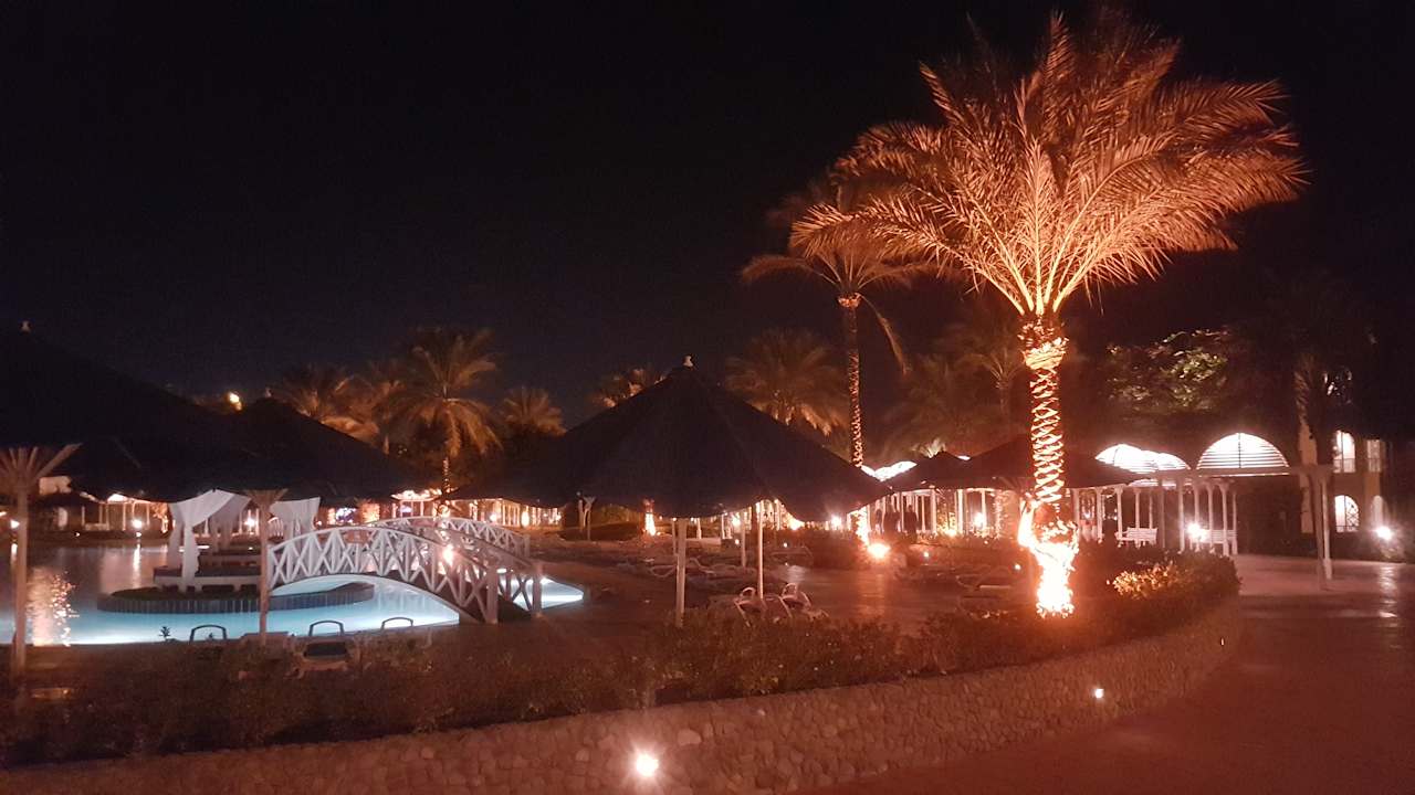 Ausblick Desert Rose