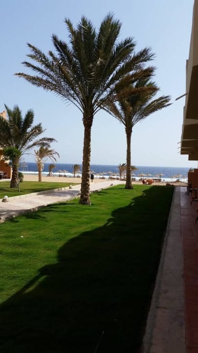 Widok z balkonu Three Corners Sea Beach Resort