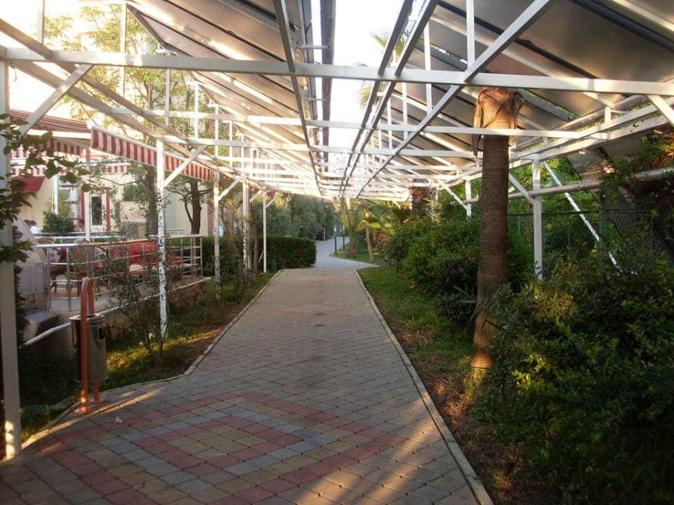 Garten Hotel Orfeus Park