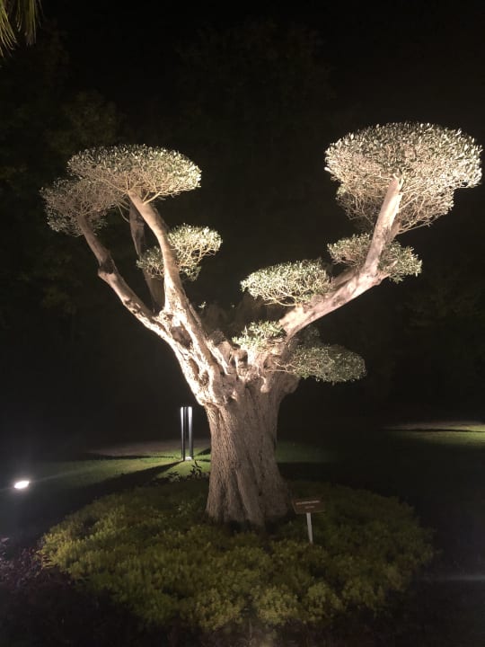 Gartenanlage Club Tuana Fethiye