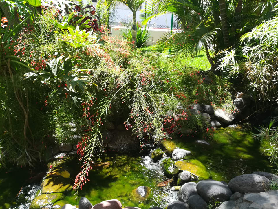 Gartenanlage allsun Hotel Lucana