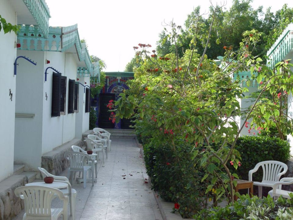 gepflegte Gartenanlage im Bungalowbereich Ghazala Beach