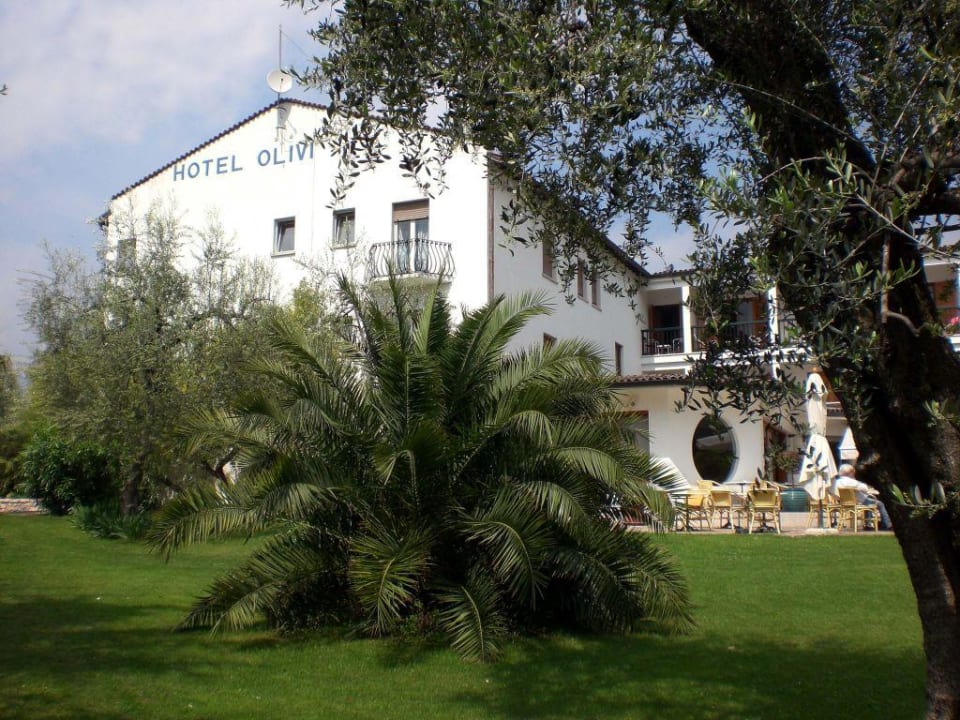 Terrasse & Palme Olivi Club Tennishotel