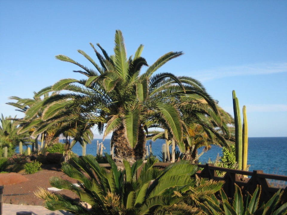 Garten Richtung Meer R2 Pajara Beach