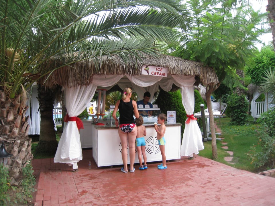 Leckeres Eis Hotel Delphin Palace