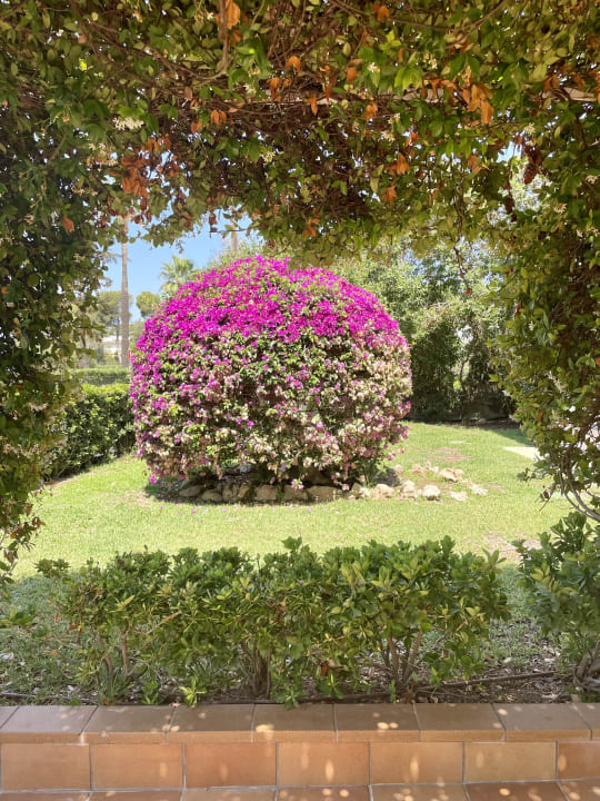 Gartenanlage Hotel Exagon Park