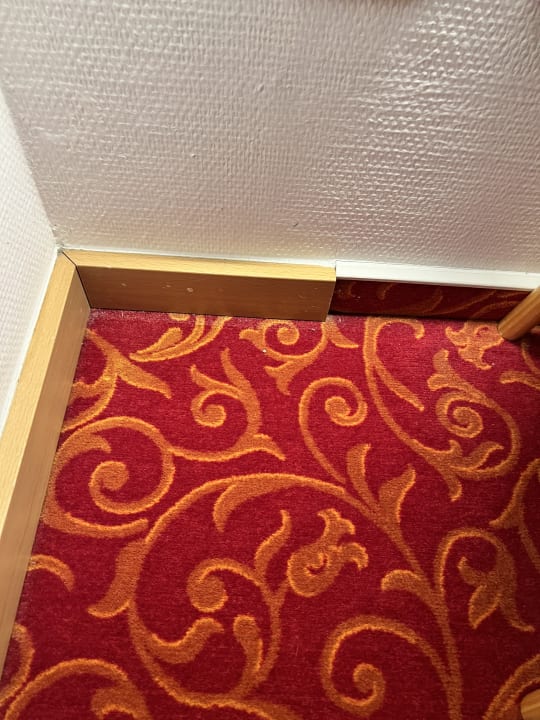 Zimmer gut-Hotel Tannenhof