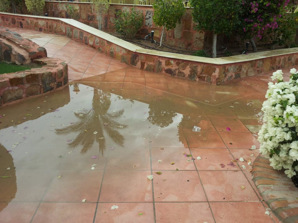 Nach dem Gewitter  Jaz Solaya