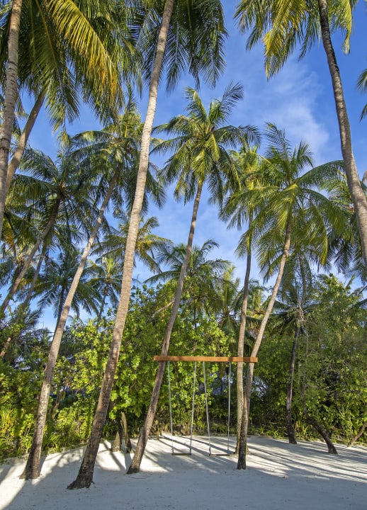 Gartenanlage Naladhu Private Island Maldives