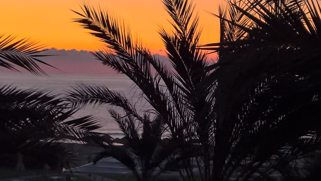 Ausblick Iberostar Waves Averroes