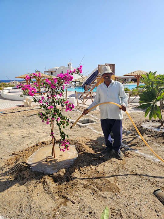 Gartenanlage Beach Safari Nubian Resort