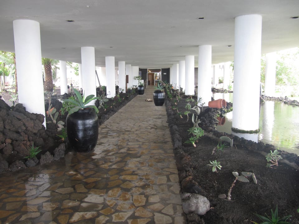 Weg vom Pool ins Hotel Melia La Palma Hotel