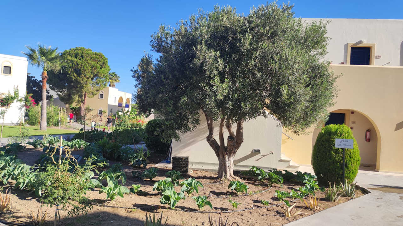 Gartenanlage Grecotel Casa Paradiso