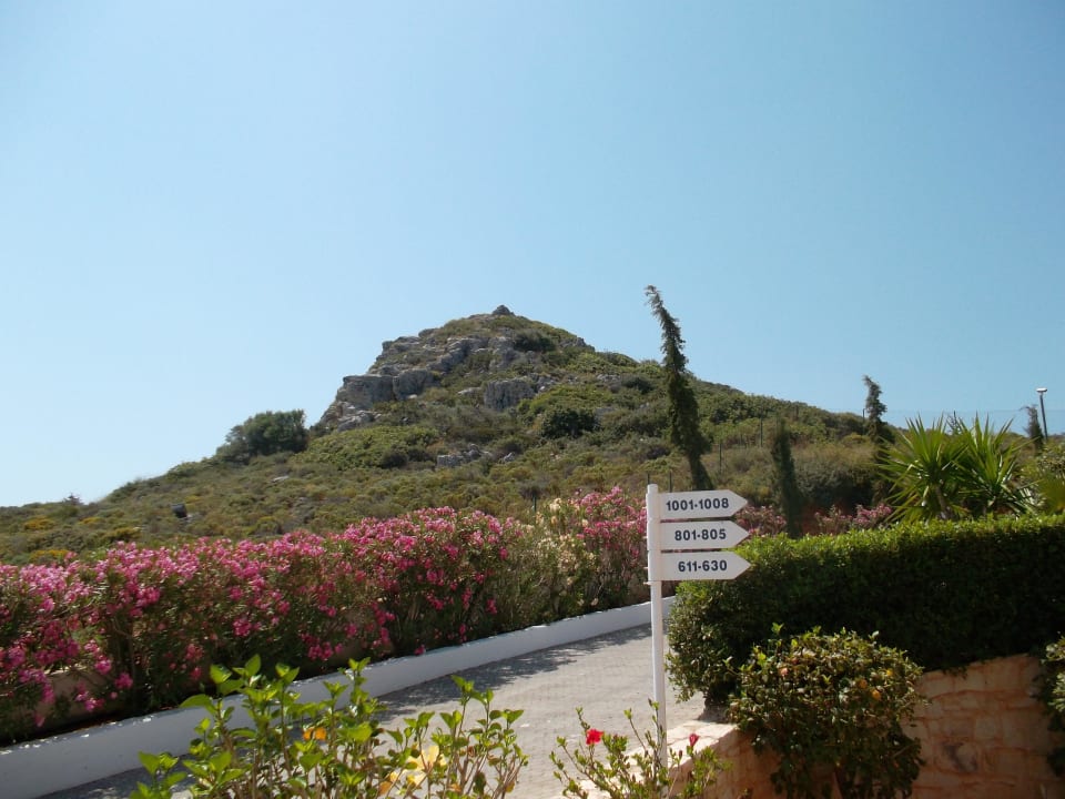 Poolbar Grand Hotel Holiday Resort