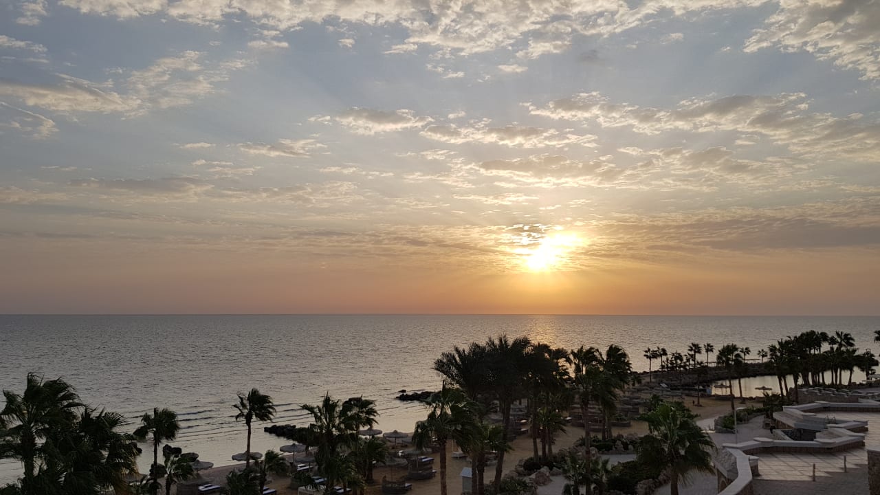 Ausblick Pickalbatros Citadel Resort