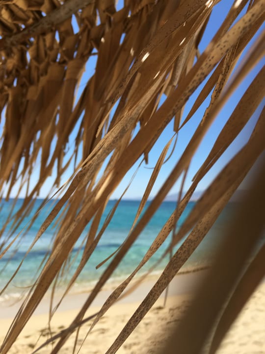 Strand Plaza Beach Hotel