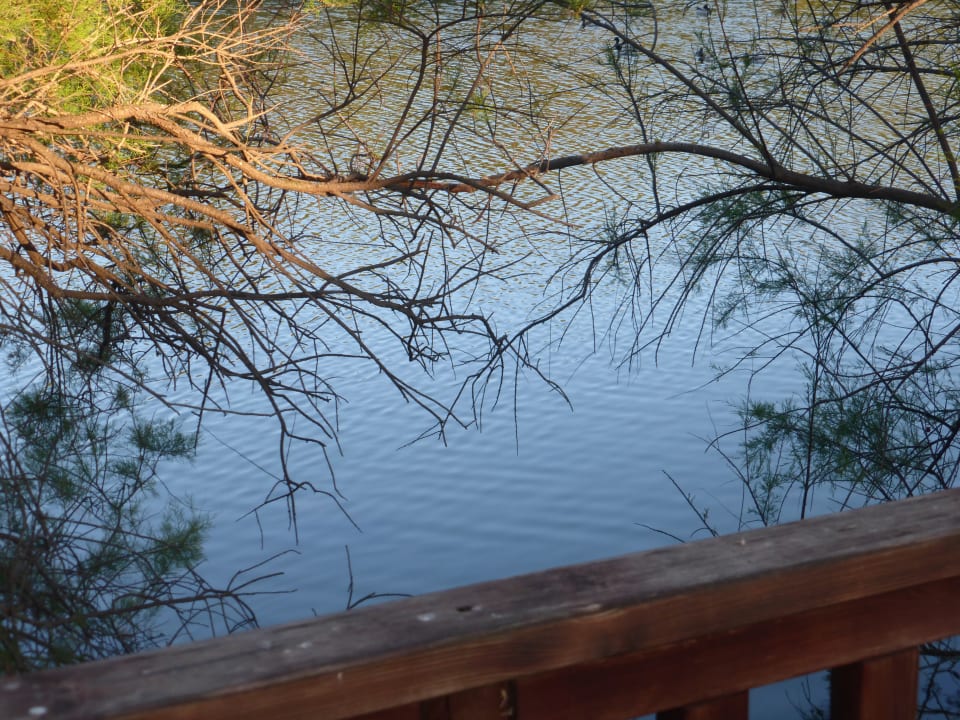 Strand Hotel Exagon Park