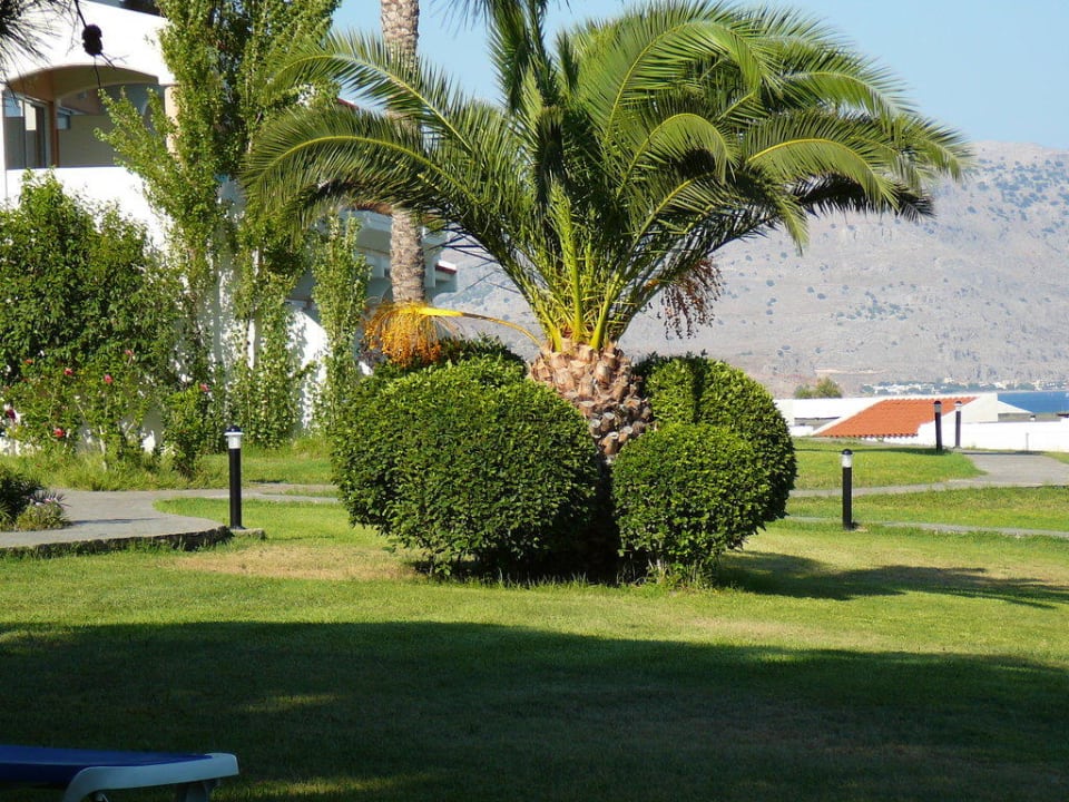 Palme Rodos Princess Beach Hotel & Spa