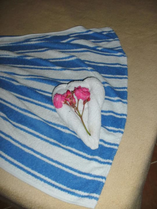 Handtuchkunst Pickalbatros Aqua Vista Resort - Hurghada