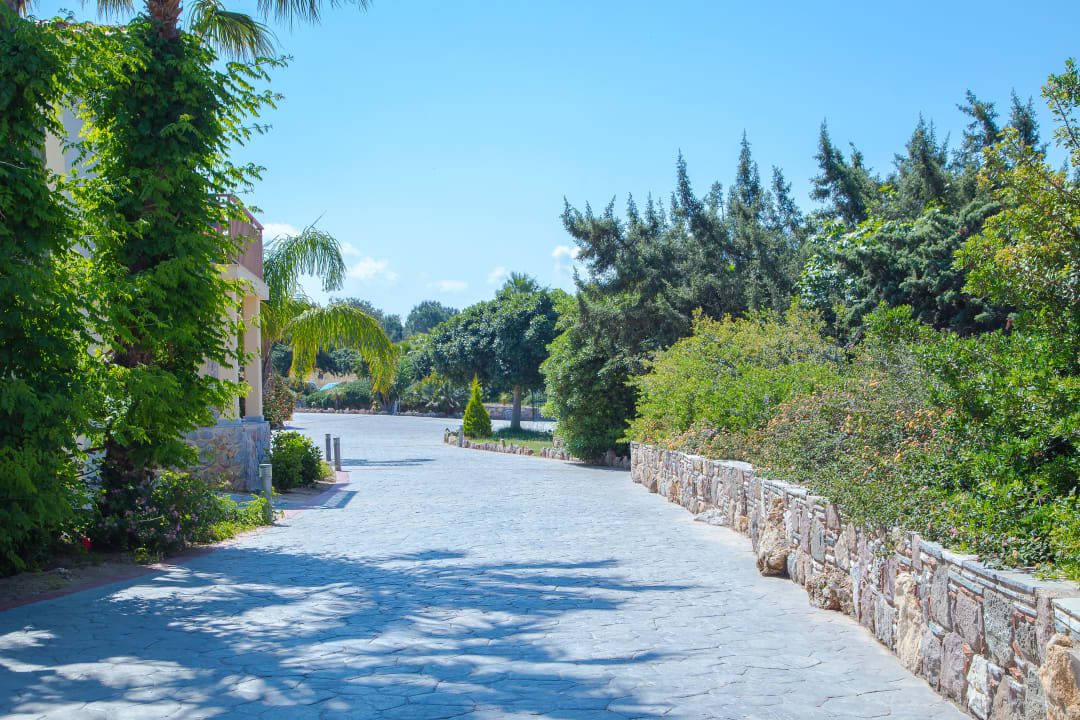 Gartenanlage Achilleas Beach Adults Only
