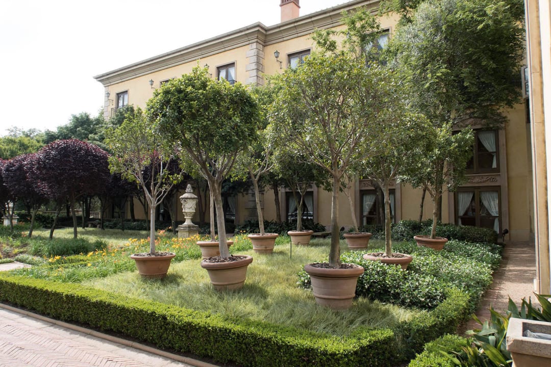 Bereich neben dem Haupteingang Hotel Palazzo Montecasino